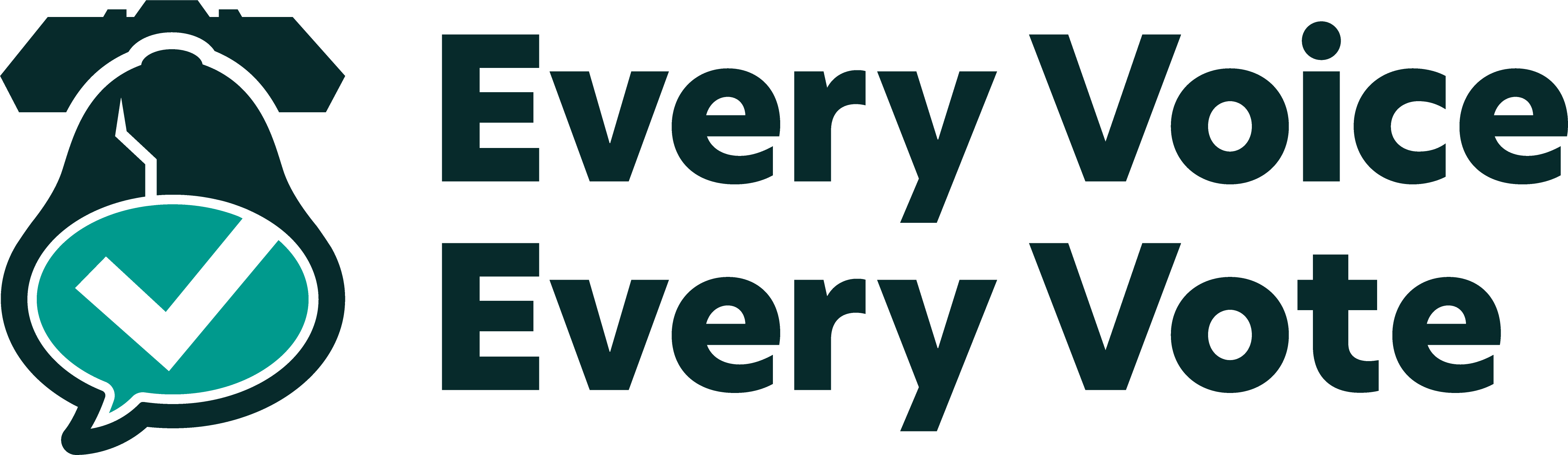 Donor: Every Voice, Every Vote