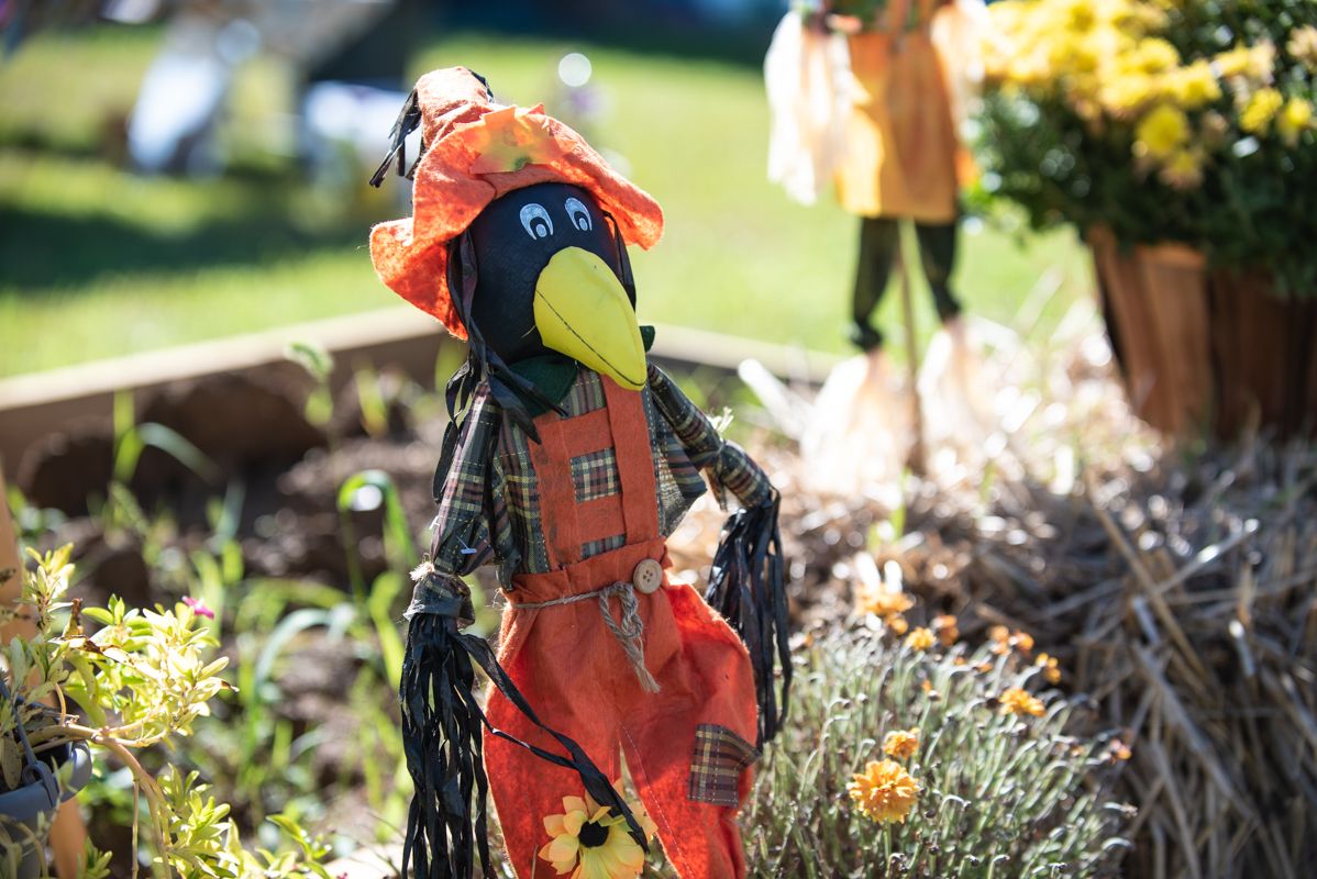 Kensington news: Emergency alerts, farm stands, general election, jobs, murals & public space grants