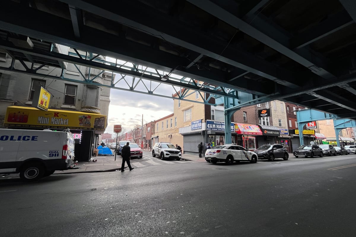 Kensington news: Community clean-ups, Haudenosaunee, police, redistricting, and tree recycling