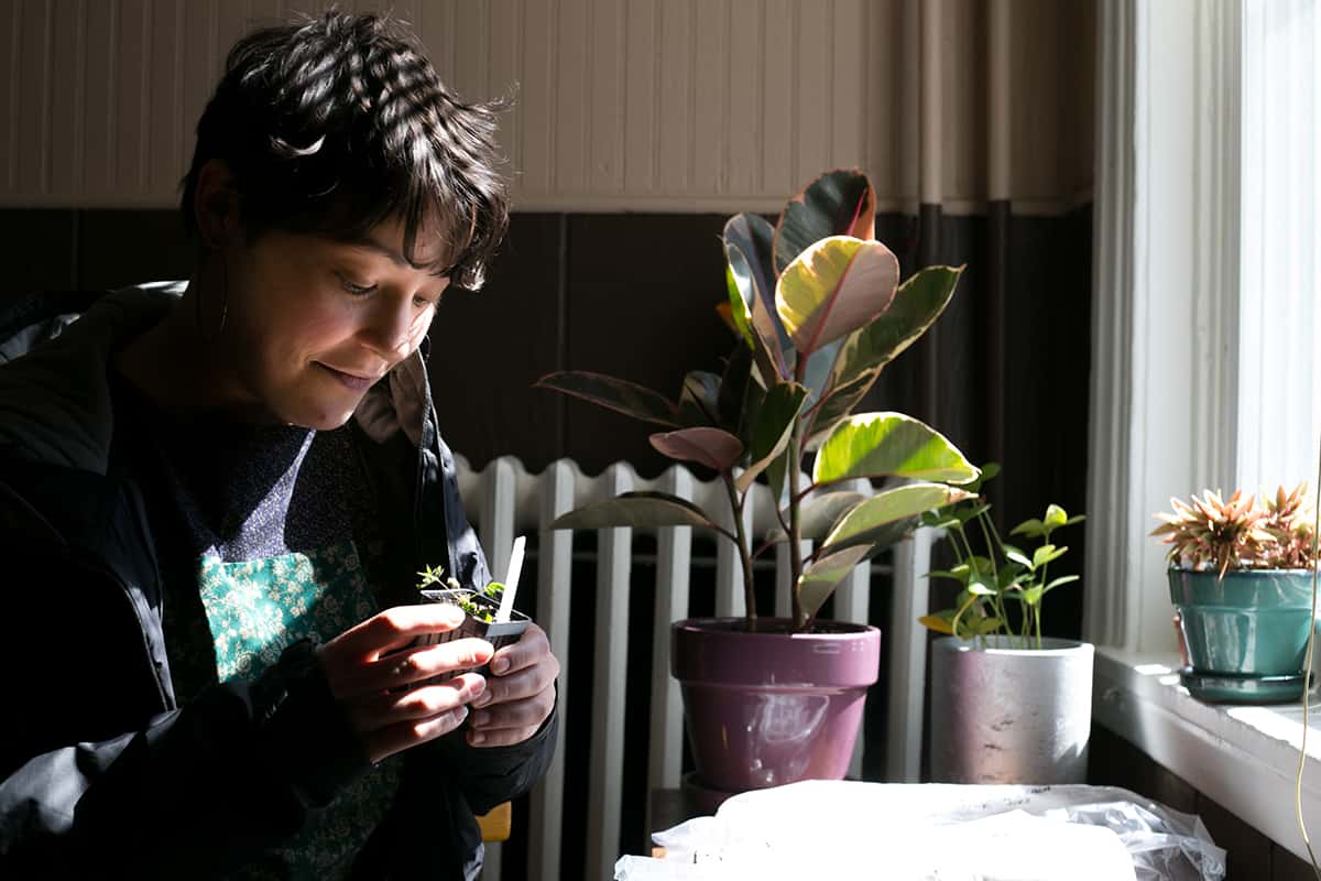 Quiero que la jardinería me ayude a conectar y crecer con mi comunidad