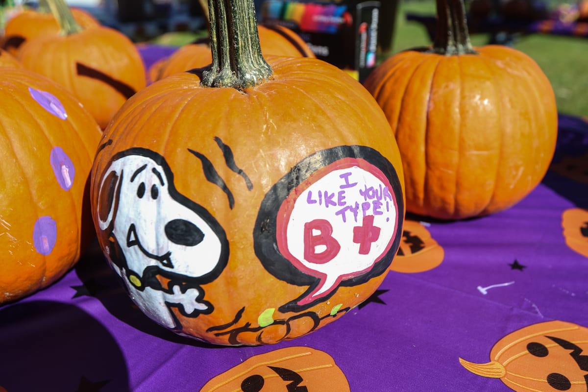 The Ruth Street Community Garden kicks off the fall season with Halloween festivities