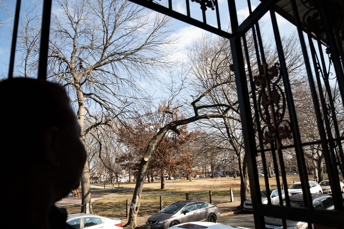 Harrowgate residents wait years for Philly Parks and Rec tree removal: ‘It was my mission to get that tree down’