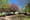 Kensington news: Election Day, Earth Day composting, PPD community listening session, and NKCDC native plant sale