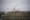 I adore how the city looks in the snow — a very clean slate