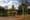Resident review: Norris Square Park redesign earns an A+