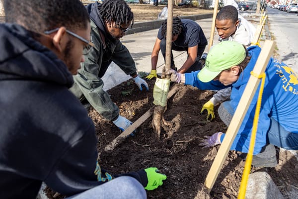 Sankofa students join Philly Tree People to plant new trees in Campbell Square Park, learn essential tree care
