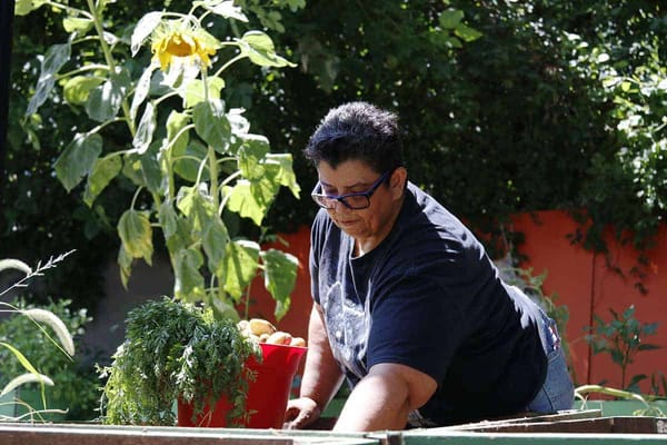 Free classes at Lillian Marrero Library pair cooking with English learning