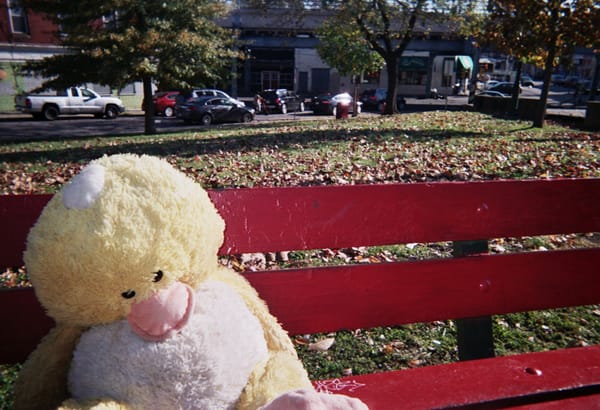 Kensington Through Our Eyes: Photos from the gallery