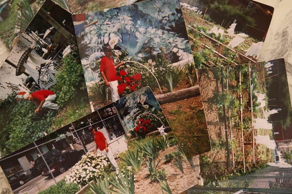 Restaurando el jardín de Victor