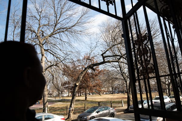 Unas residentes de Harrowgate esperan años para que Philly Parks and Rec sacara un árbol: ‘Era mi misión derribar ese árbol’