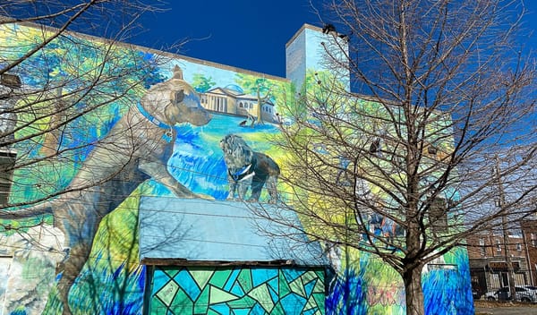 Resumen de noticias de Kensington: asesoramiento legal gratuito para casos de desalojos, McVeigh y recursos para jóvenes